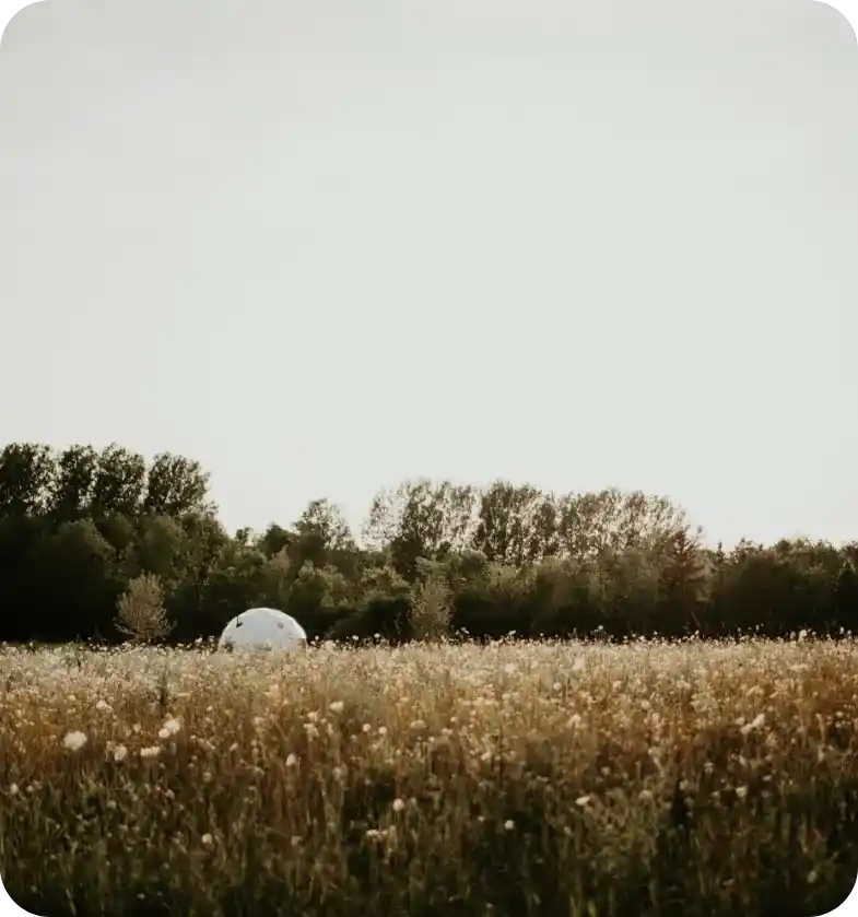 meadow-with-dome